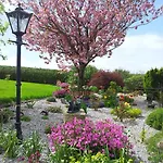 Bed & Breakfast Mount Edward 3*