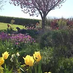 Mount Edward 3* Grange (Sligo)