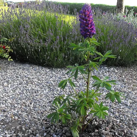 Frühstückspension Mount Edward