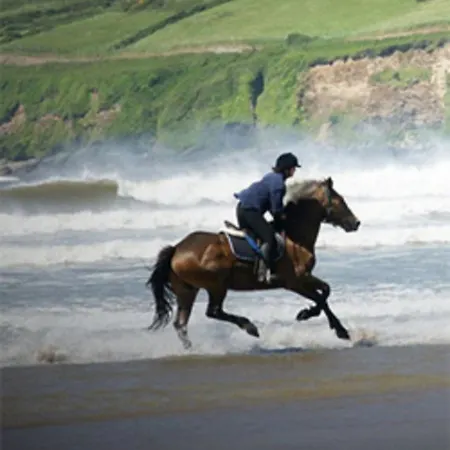 Mount Edward Grange (Sligo)