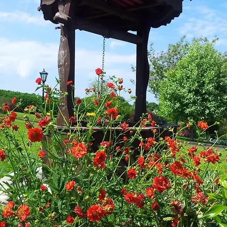 住宿加早餐酒店 爱德华山旅舍 Grange (Sligo)