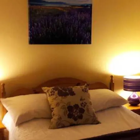 爱德华山旅舍 3*