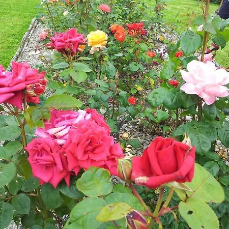 爱德华山旅舍 住宿加早餐酒店