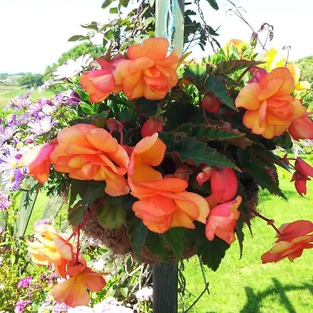 住宿加早餐酒店 爱德华山旅舍 3*