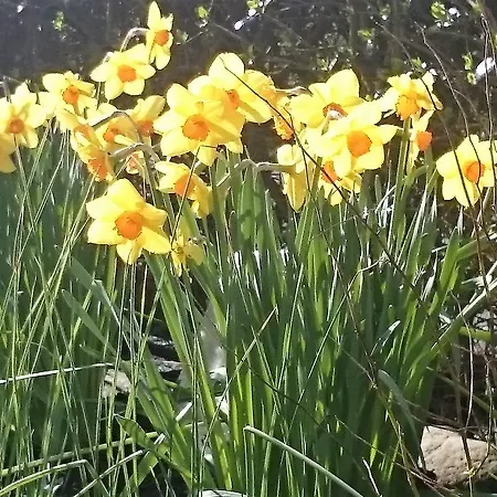 住宿加早餐酒店 爱德华山旅舍
