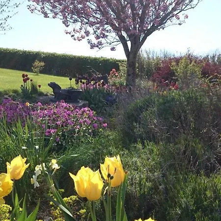 爱德华山旅舍 3* Grange (Sligo)