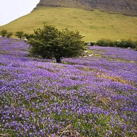 Mount Edward