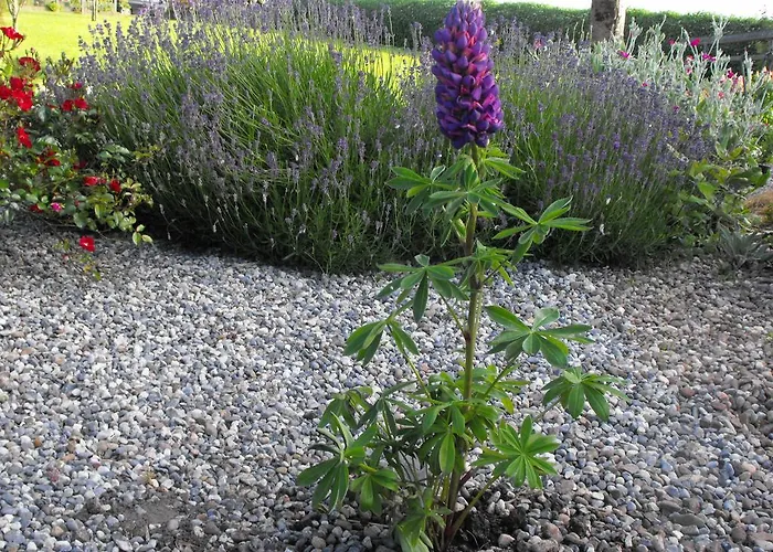 ベッド・アンド・ブレックファスト Mount Edward