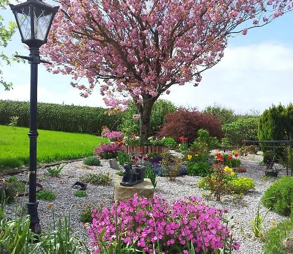 Bed & Breakfast Mount Edward 3*