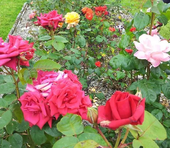 Mount Edward Bed & Breakfast