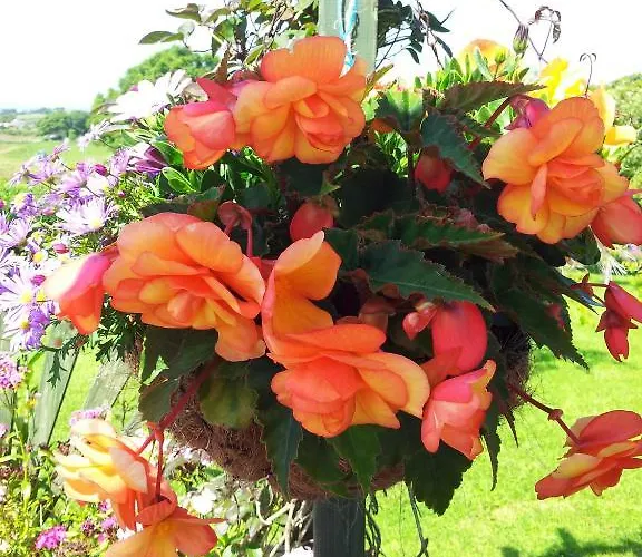 ベッド・アンド・ブレックファスト Mount Edward 3*