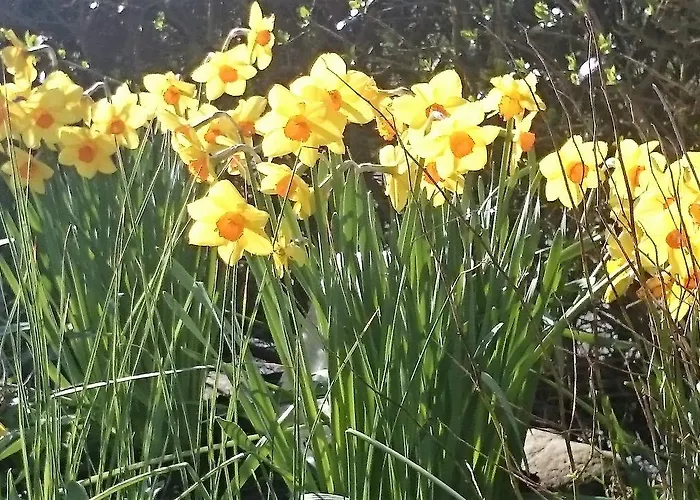 ベッド・アンド・ブレックファスト Mount Edward