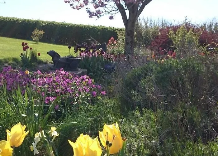 爱德华山旅舍 3* Grange (Sligo)