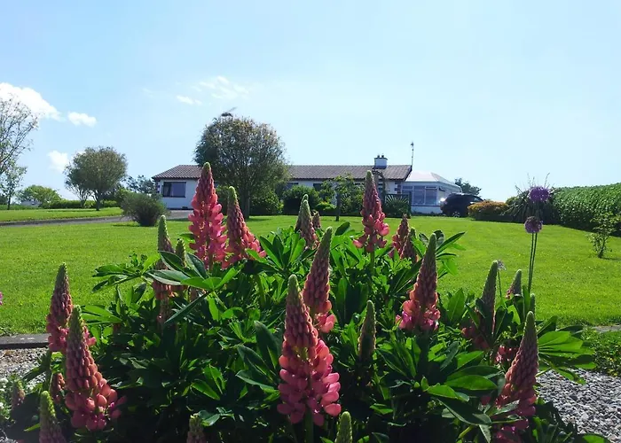 Bed & Breakfast Mount Edward